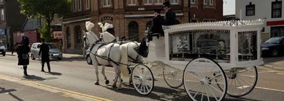 Horsedrawn White 